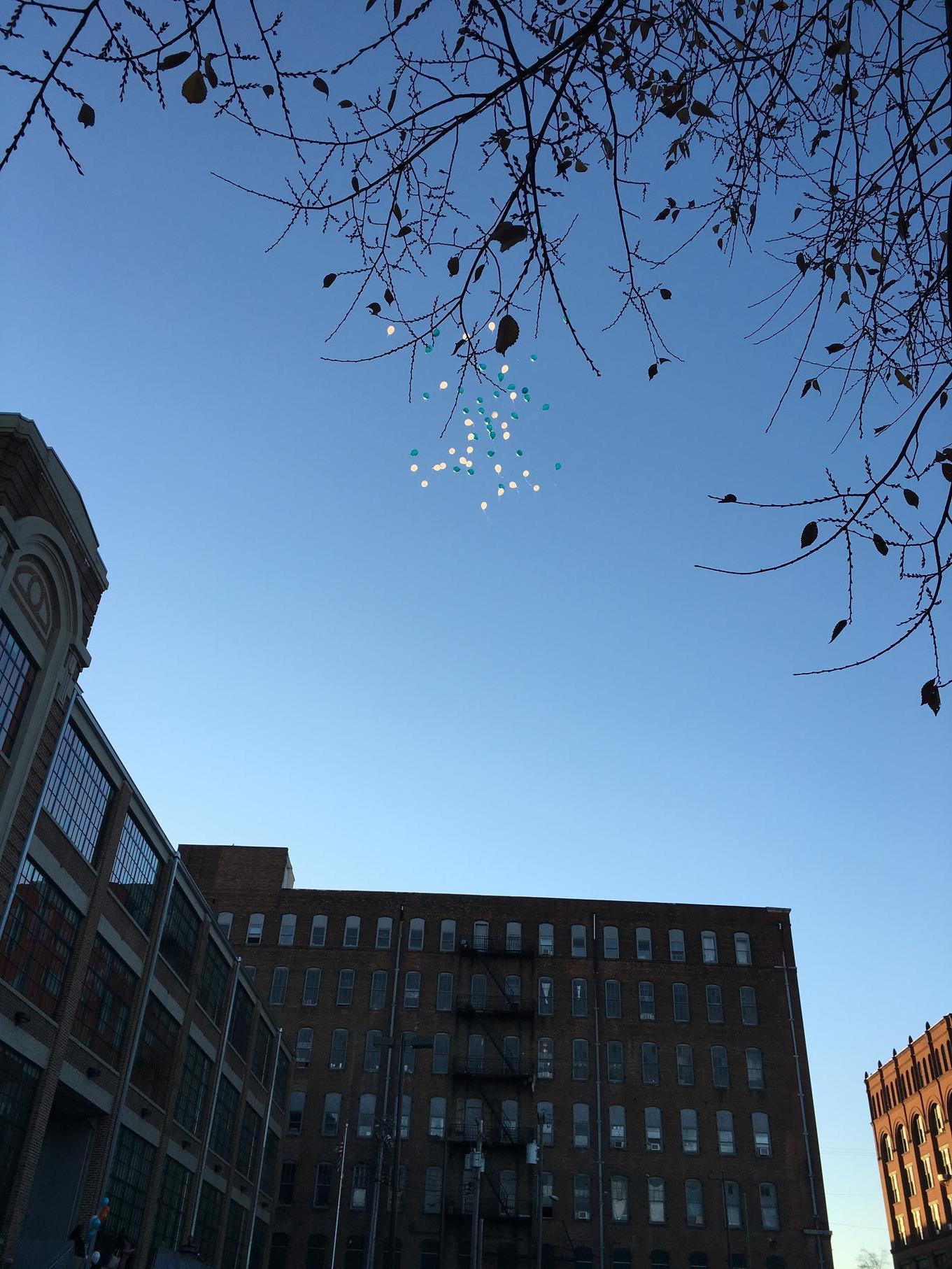 Balloons carried away on the breeze