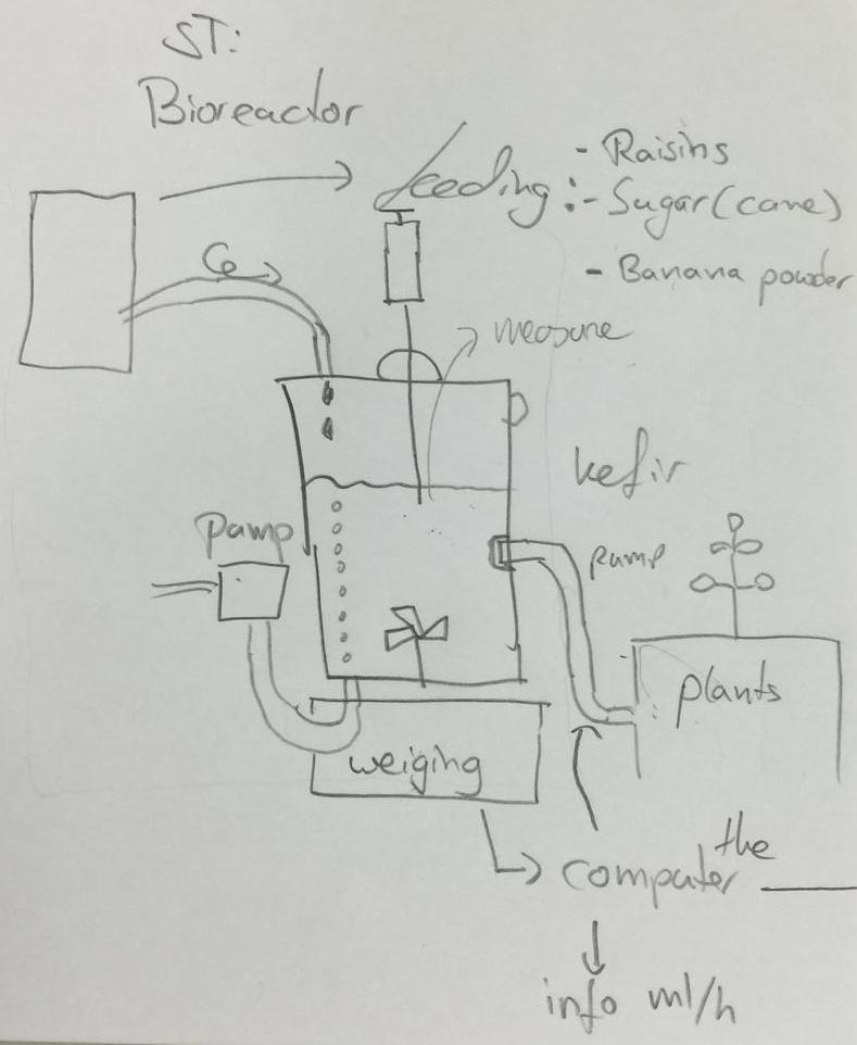 ExpDiagramPg1-Bioreactor.jpg