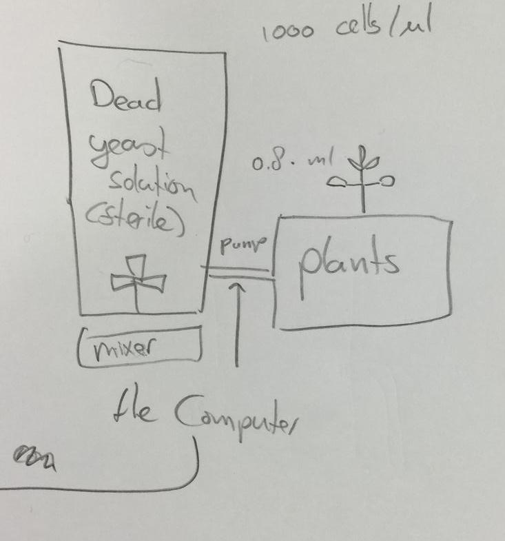 ExpDiagramPg2-DeadYeast.jpg