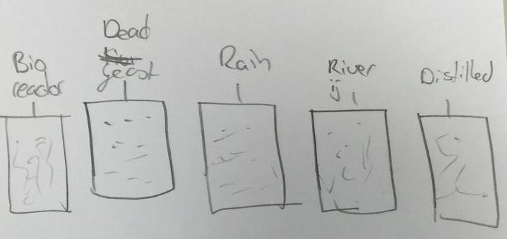 ExpDiagramPg3-SeedlingTray.jpg